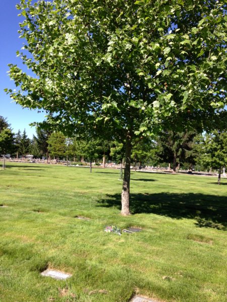willsgravesitekelowna3.jpg